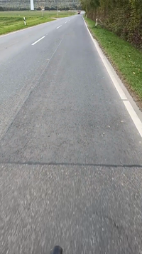 Pfostenbild
