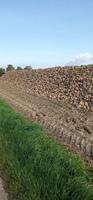 Pfostenbild