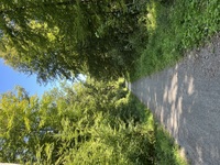 Pfostenbild