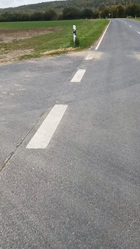 Pfostenbild