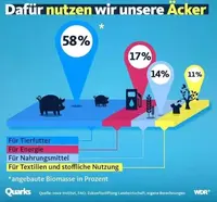 Pfostenbild
