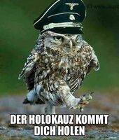 Pfostenbild