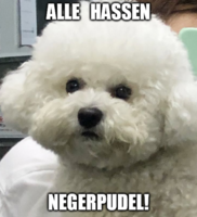 Pfostenbild