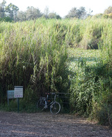 Pfostenbild