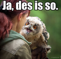 Pfostenbild