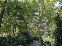 Pfostenbild