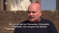 Pfostenbild