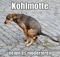 Pfostenbild