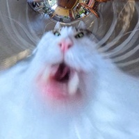 Pfostenbild