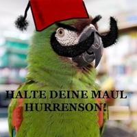 Pfostenbild