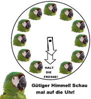 Pfostenbild