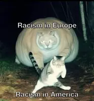 Pfostenbild
