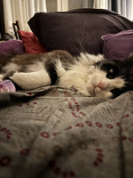 Pfostenbild