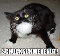 Pfostenbild