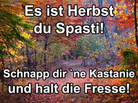 Pfostenbild