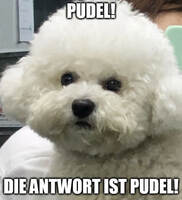 Pfostenbild