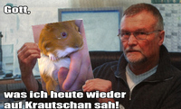 Pfostenbild