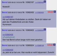 Pfostenbild