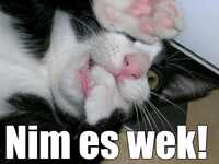 Pfostenbild