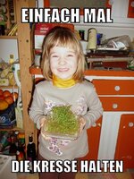 Pfostenbild