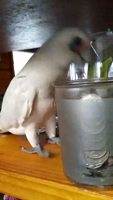 Pfostenbild