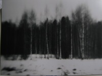 Pfostenbild