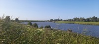 Pfostenbild