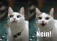 Pfostenbild