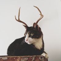 Pfostenbild